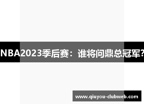 NBA2023季后赛：谁将问鼎总冠军？
